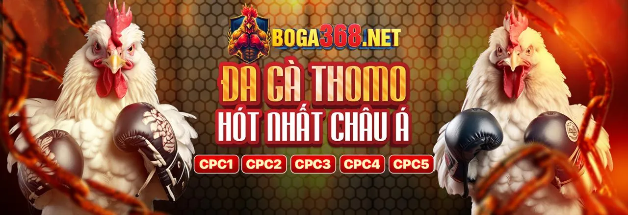Banner khuyến mãi hcm666 win