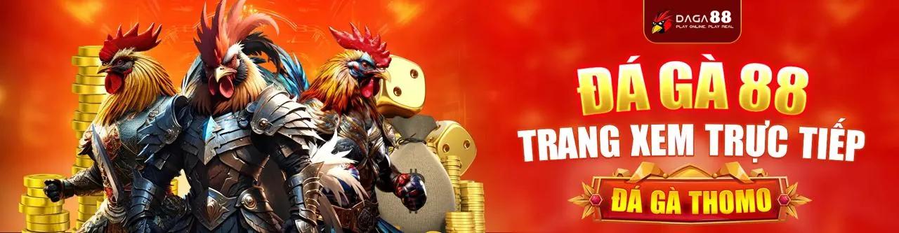 Tổng quan nền tảng giải trí trực tuyến hcm666 win